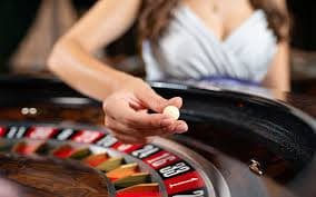 Quick Bet on blackjack table with dealer visible on surga5000 login